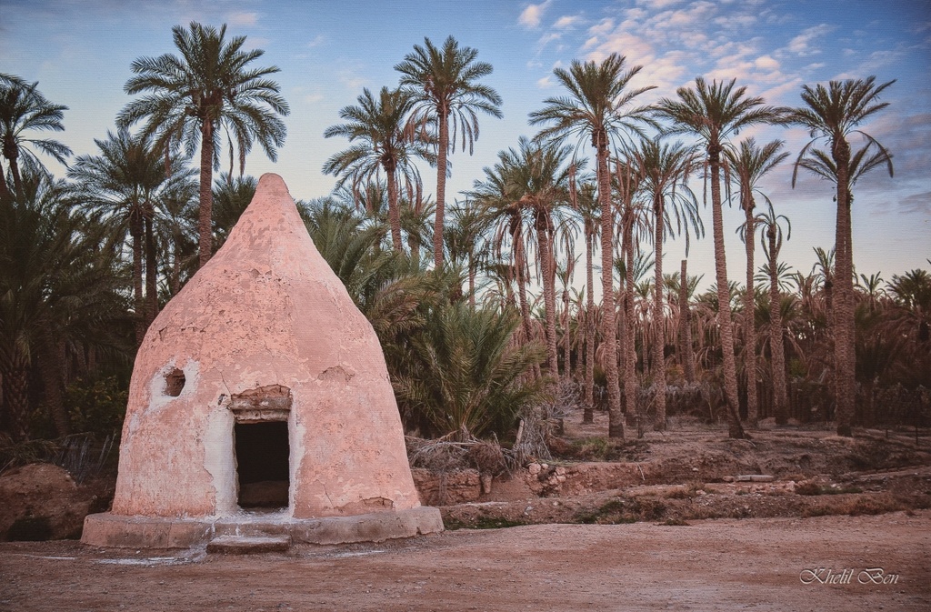 MOSOLE AFRICAIN LES ZIBAN -BISKRA-