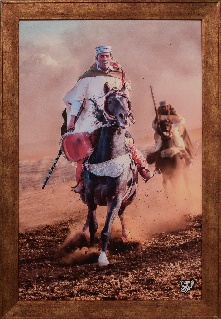 CAVALIER DE FANTASIA (SEBDOU-TLEMCEN 2017)