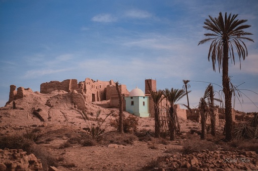 [2.4] ZAOUIA A SIDI KHELIL -BISKRA-
