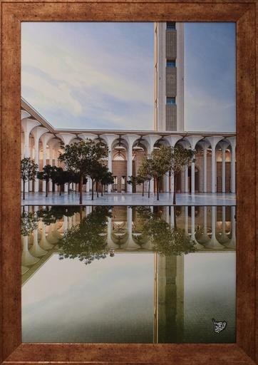 [7.5] REFLET DJAMAA EL DJAZAIR (ALGER 2020)