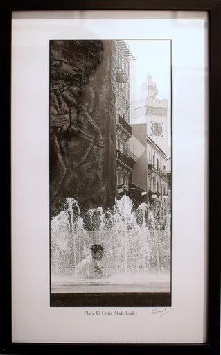 [8.14] PLACE EL AMIR ABDELKADER